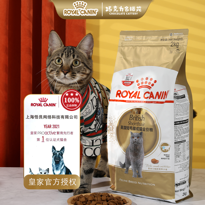 皇家BS34英短专用成猫粮2KG蓝猫渐层强健肌肉骨骼全价主粮10月龄 - 图0