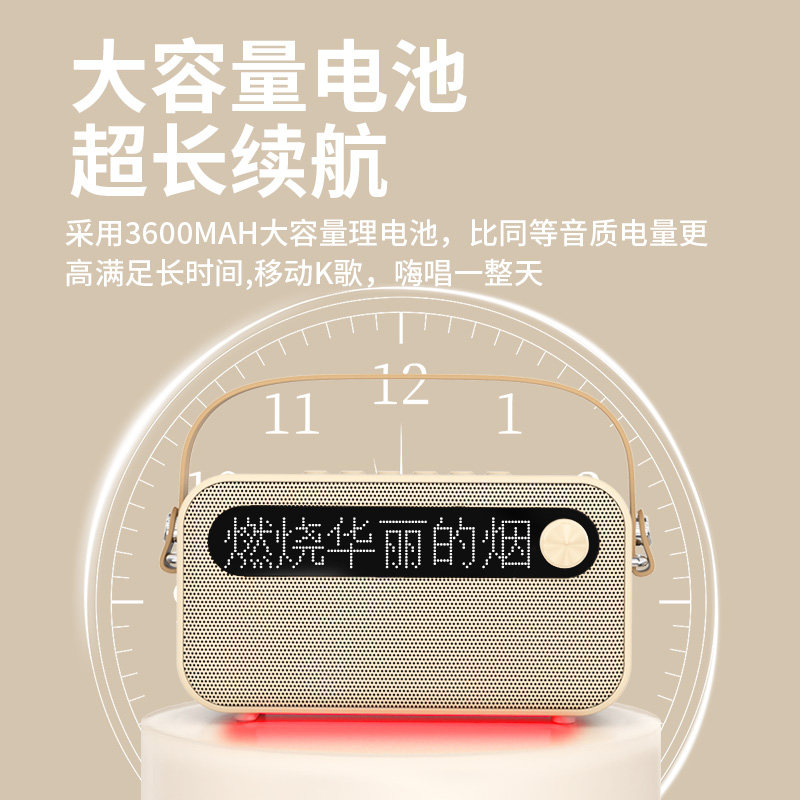  宝锐数码麦克风/话筒