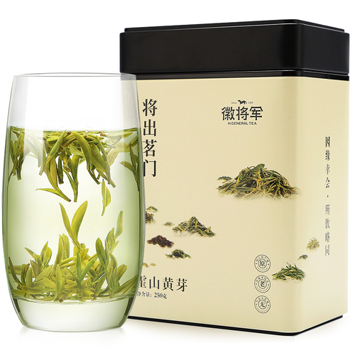 徽将军2024新茶霍山黄芽250g明前特级嫩芽原产地黄茶茶叶安徽春茶