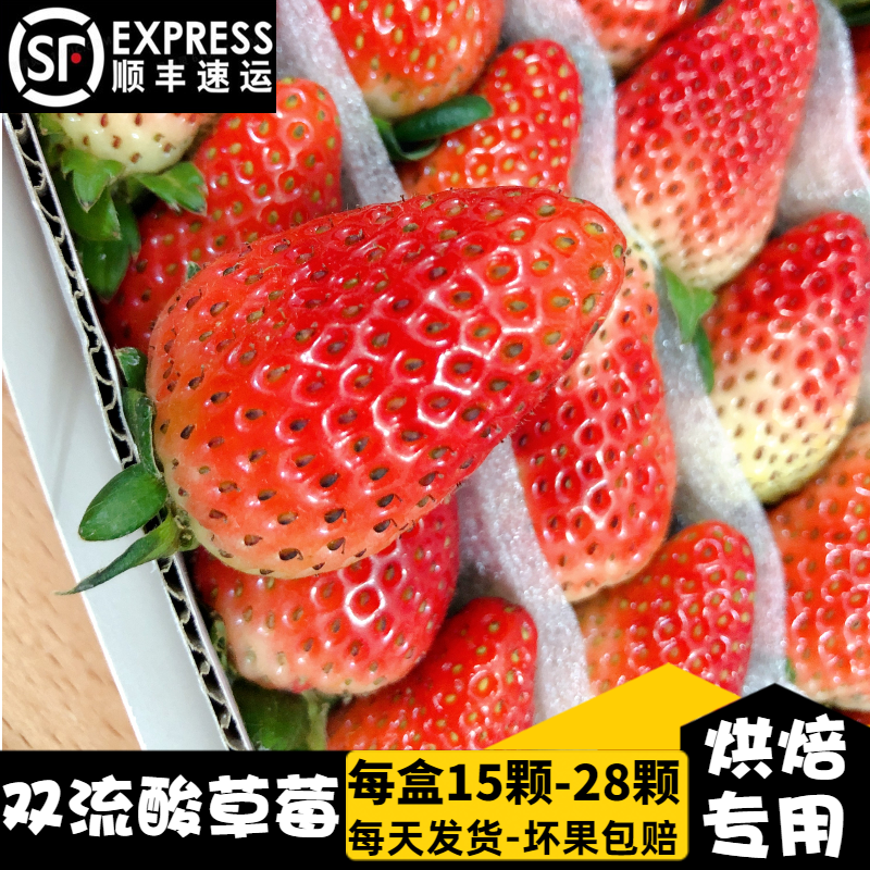 【现货】双流四季冬草莓新鲜商用蛋糕店装饰烘焙奶茶店专用酸草莓 - 图0