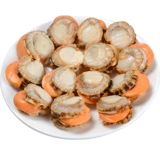 Мясовое морское морское морское мясо поймало замороженные морепродукты Юань моллюски моллюско