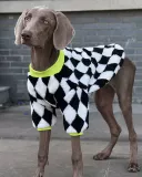 Модные демисезонные шахматы, удерживающий тепло шнурок-держатель, толстовка, домашний питомец