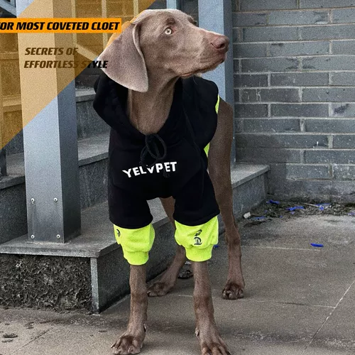 Собака для любимой собаки большая одежда для собак сражается цвет и фальшивый двух весенний и осенний ватный ватный свитер лабрадо золотой ретривер