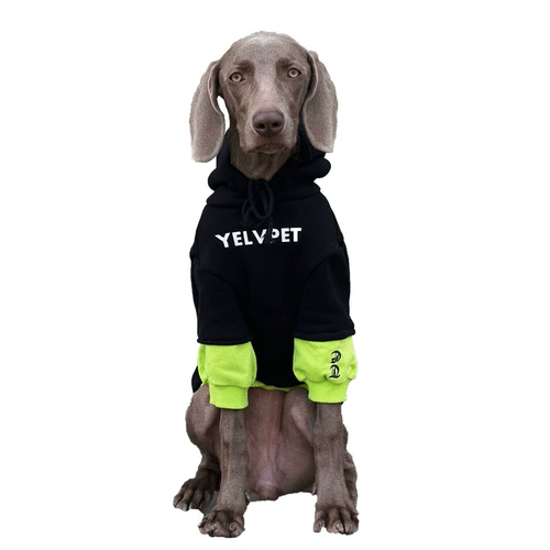 Собака для любимой собаки большая одежда для собак сражается цвет и фальшивый двух весенний и осенний ватный ватный свитер лабрадо золотой ретривер