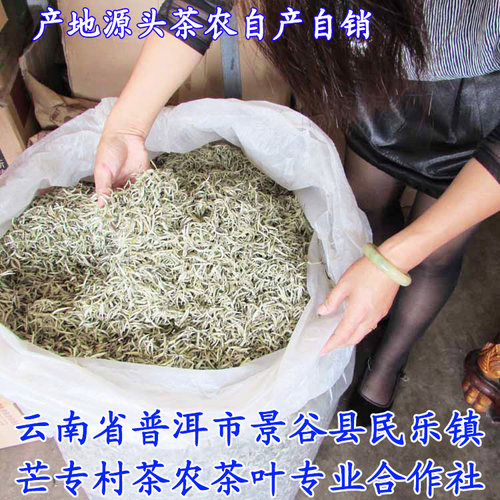 云南白茶2026年景谷大白毫春茶芽尖古树月光白毫银针茶农直销好喝 - 图1