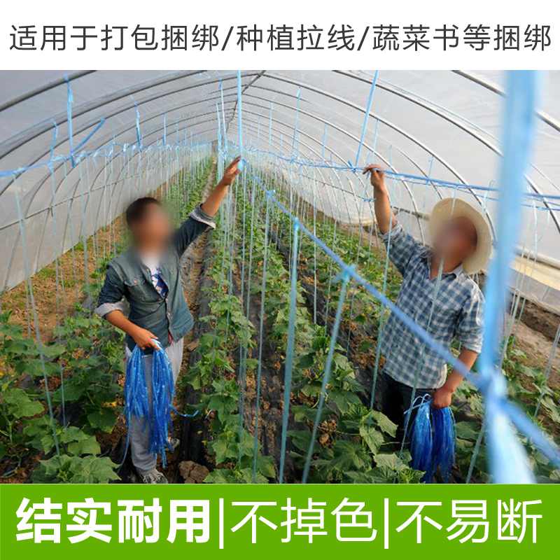 捆绑绳撕裂带打草绳包装绳打包绳捆扎绳蔬菜吊绳塑料包扎绳-图1