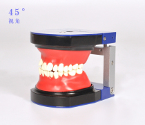 Zining Stars Orthodontic Practice Model Waxy Gum Heating Removable Typodont steel bracket