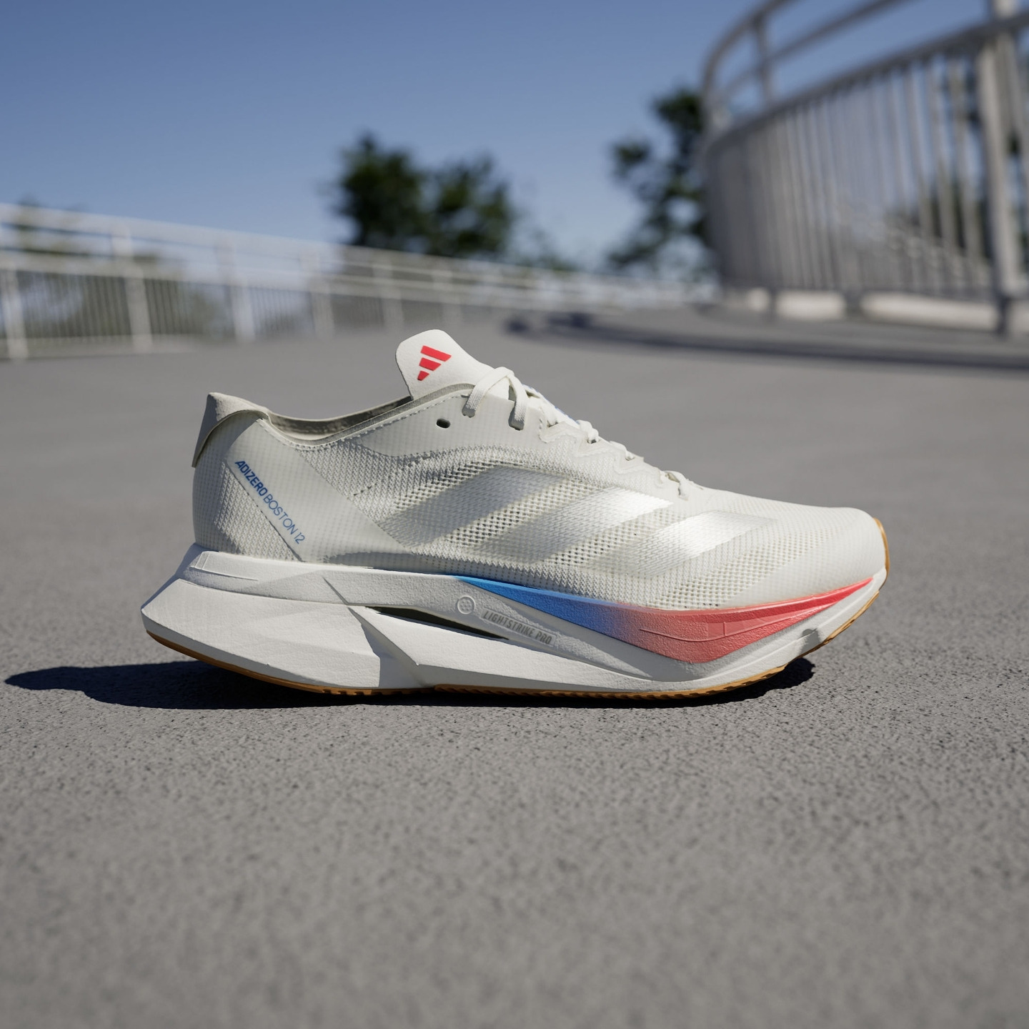 ADIZERO BOSTON 12训练备赛马拉松玻纤柱跑鞋男女adidas阿迪达斯 - 图2