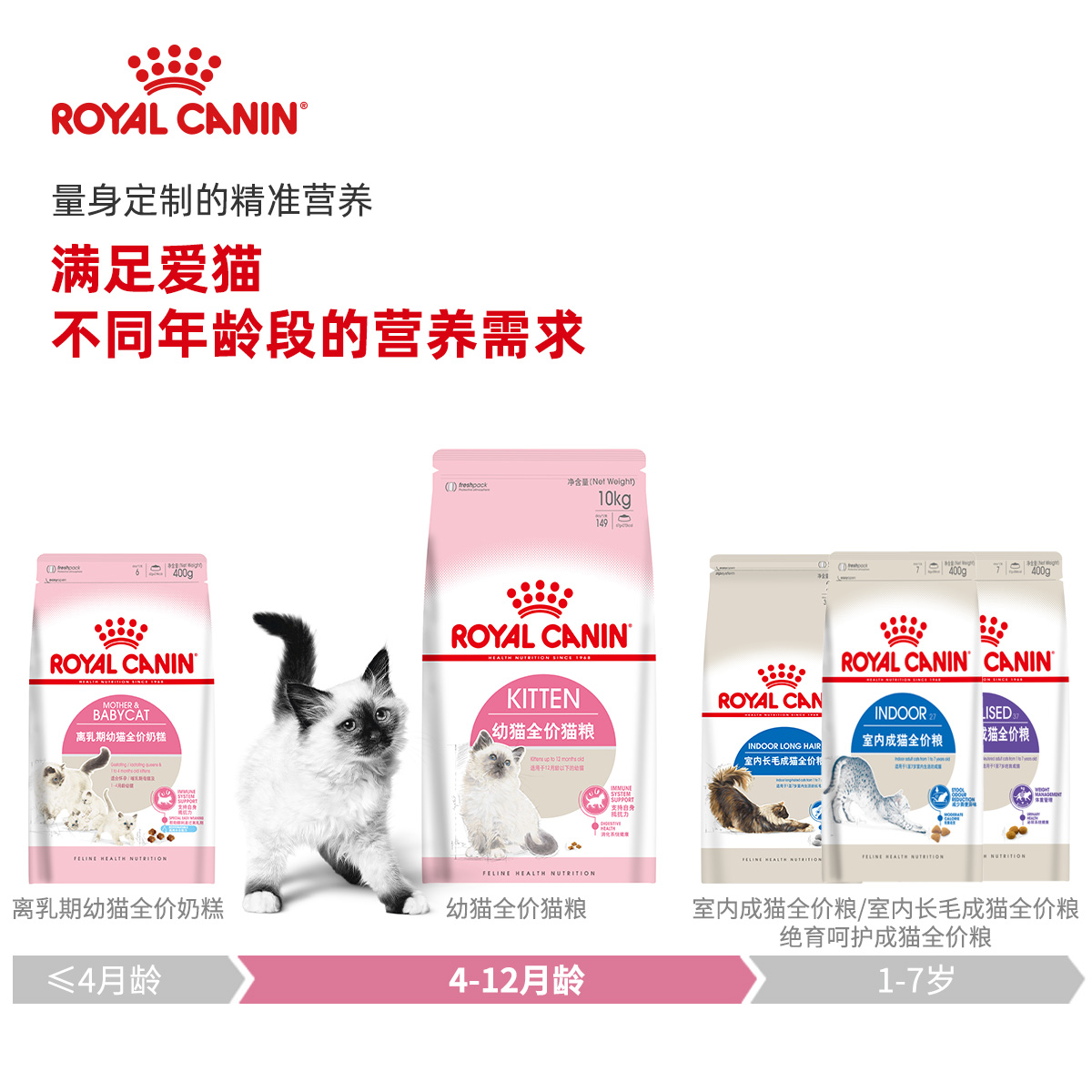 贝多芬宠物/法国皇家猫粮K36皇家幼猫粮10Kg怀孕哺乳母猫粮包邮-图2