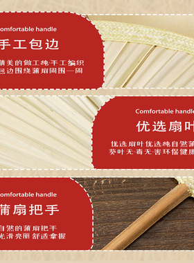 夏季老式大号蒲扇驱蚊纳凉