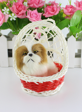 真皮毛猫狗兔家庭拍摄朋友工艺品