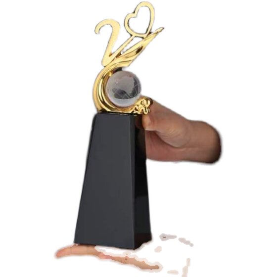 Anniversary commemorative trophy customization limited time special offer