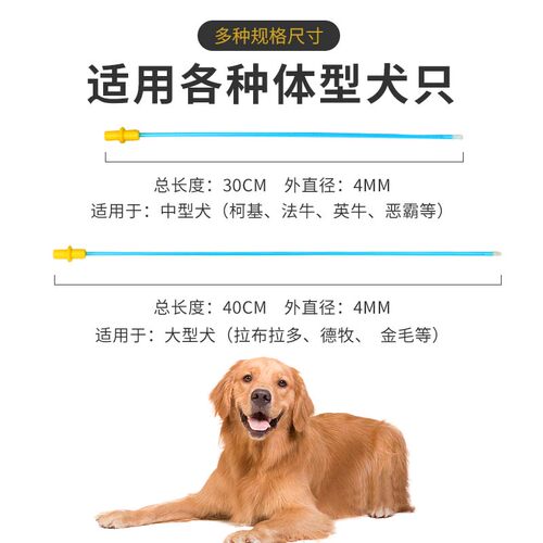 倍特双一次性输精管狗狗人工受精器输精管犬用人工输精配种专用 - 图1