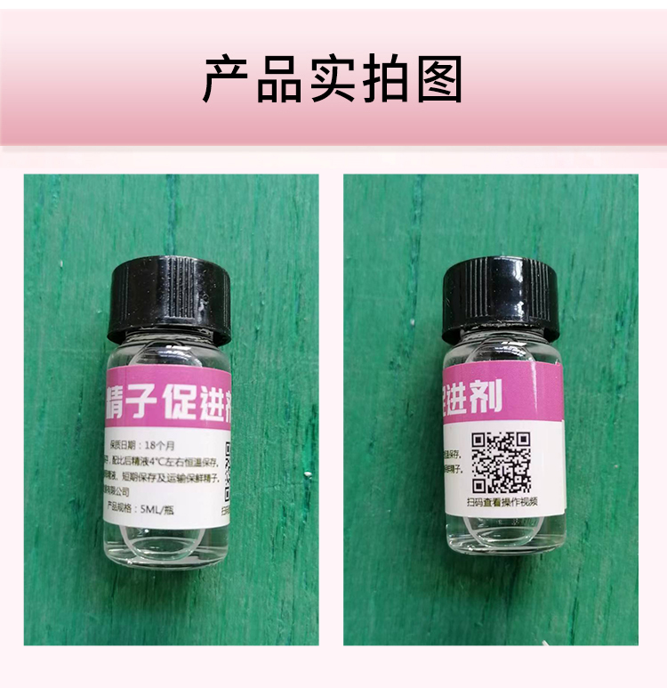 倍特双正品精子促进剂增加精子活跃度用于短期保存提高精子质量 - 图1