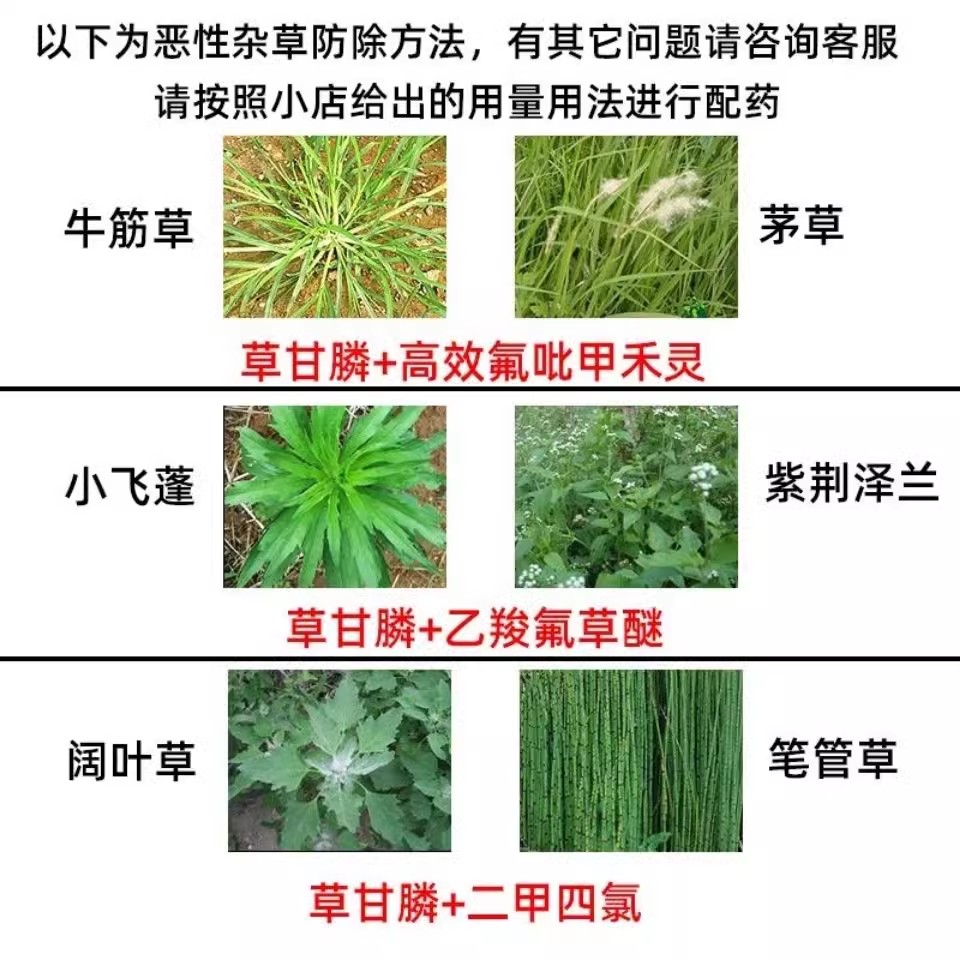 正品草甘膦除草烂根剂一扫光农药草甘磷异丙铵盐果园杂草除草剂-图2