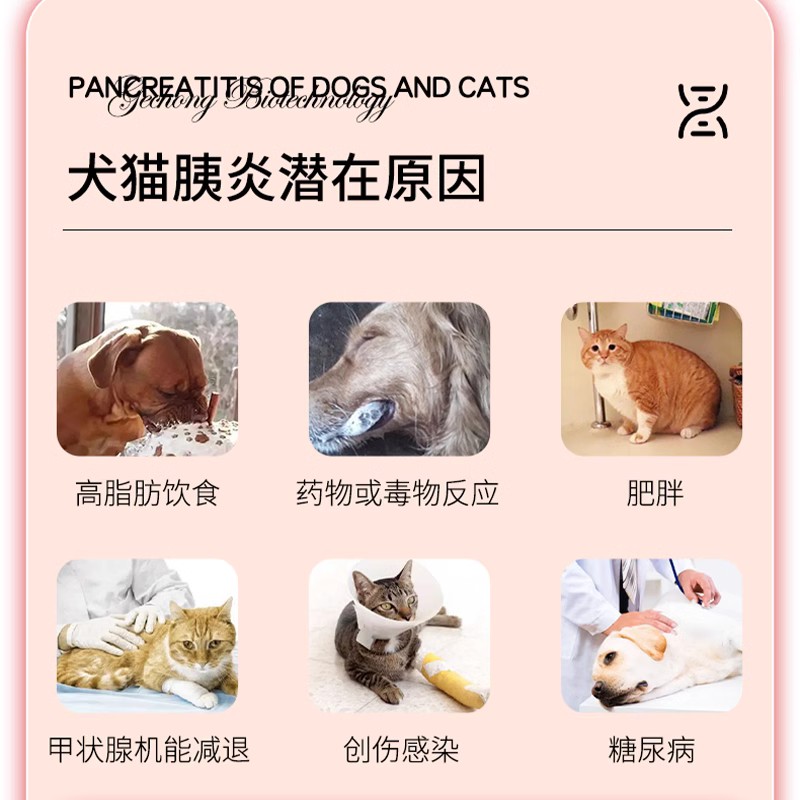 台湾胰宝胶囊猫狗用常温胰消化素猫咪胰腺炎调理胰酶药犬用宠胰宝-图1