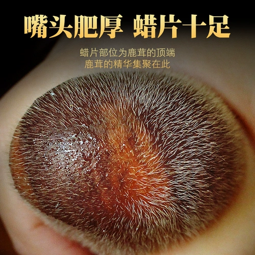 Свежие оленя рога цельнозернового рога вино Jilin Sika Deer Horn Freshler Stler Fresh Blood Нарезанный кровью ломтики для крови наличное вино подлинное