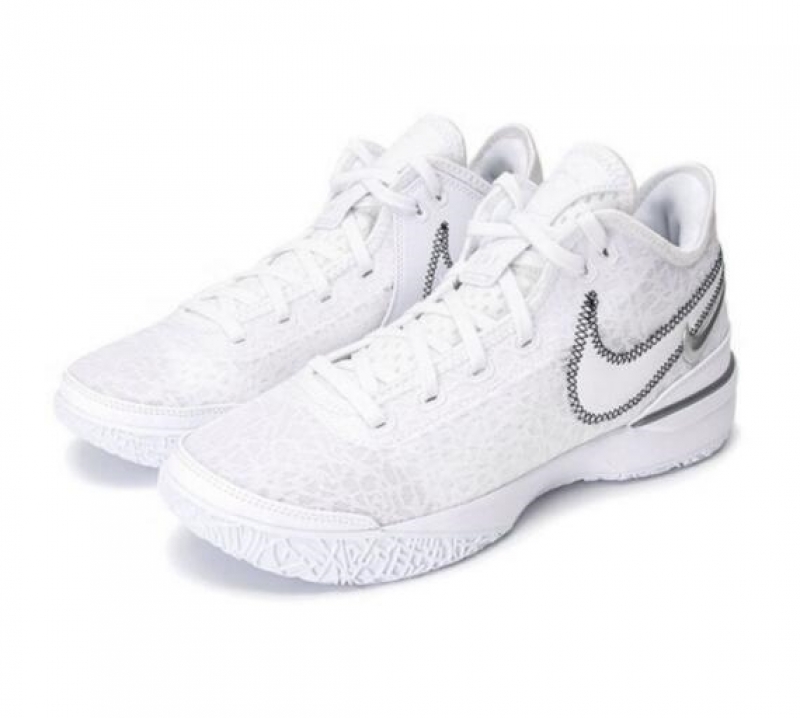 nike耐克男鞋夏季ZOOM LEBRON NXXT GEN运动篮球鞋DR8788-101-300