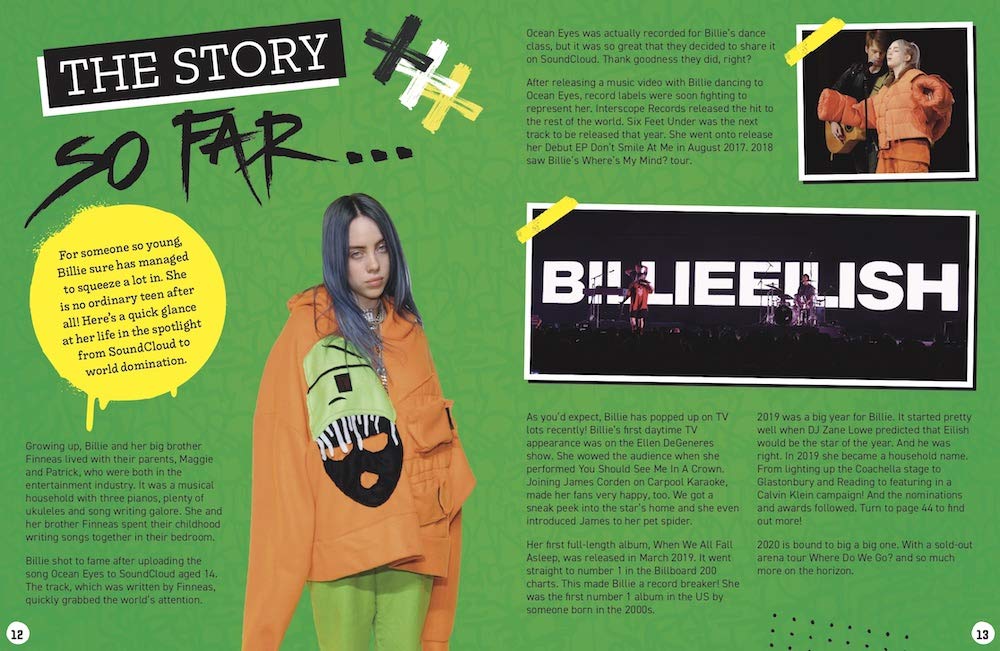 英文原版 碧梨 比莉·艾利什 传记指南 粉丝手册  We Love Billie Eilish : Her Life - Her Music - Her Story