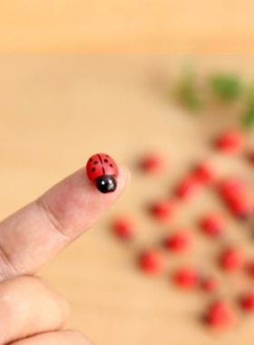 小蘑菇瓢虫造景装饰品微景观迷你小摆件配饰花盆绿植多肉盆栽甲虫