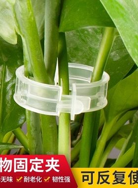 藤蔓卡扣葡萄爬藤蔬菜矫正牵引扣花盆大棚菜园绿植枝干扶蔓固定夹