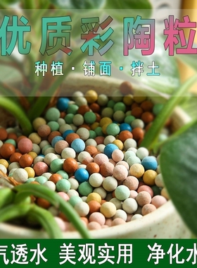 陶粒彩色陶粒园艺花卉伴土无土栽培鱼缸造景花卉绿植多肉铺面用