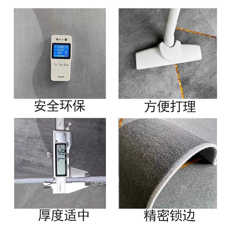 客厅地毯茶几毯2025新款轻奢高级家用房间沙发卧室床边免打理地垫