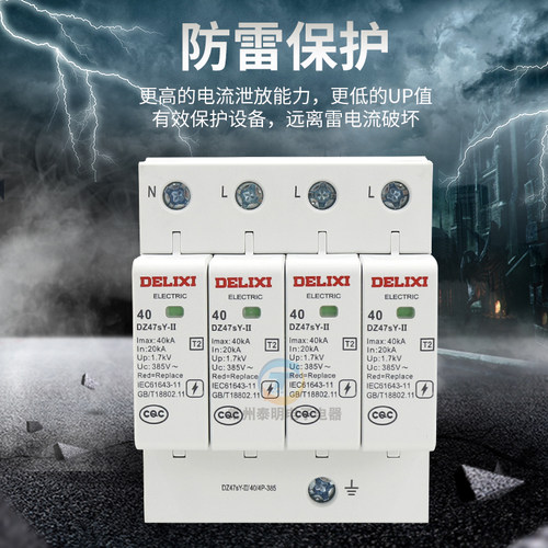 德力西20KA浪涌保护器2P防避雷器40KA电涌DZ47sY-II家用二级65KA - 图0