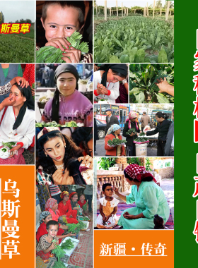 乌斯曼草棒纯手工制眉毛胡须通用