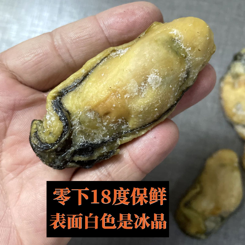 台山大金蚝半干半湿蚝干牡蛎干水蚝生晒豉干海蛎子干20头30头250g - 图0