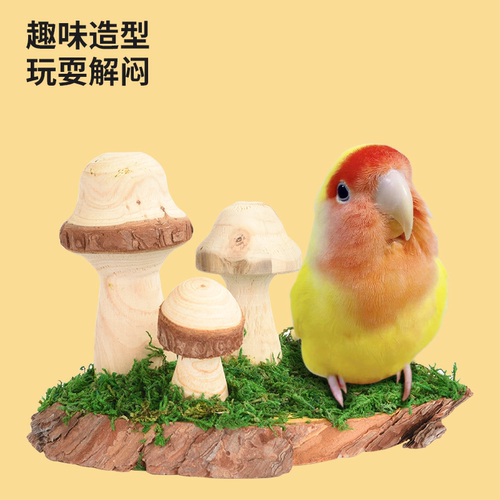 优嗖鹦鹉玩具天然健康鸟笼造景蘑菇站台天然风格啃咬玩耍鸟玩具 - 图0