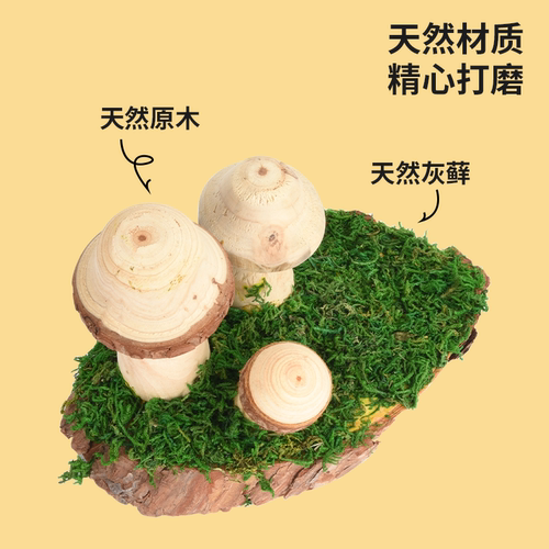 优嗖鹦鹉玩具天然健康鸟笼造景蘑菇站台天然风格啃咬玩耍鸟玩具 - 图1