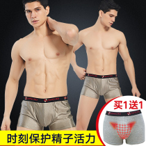 Radiation-proof underwear Mens silver silver Antibacterial Clothing Underwear Inner Wear Silver Fiber Nano Men Shorts Radiation-Proof Clothing