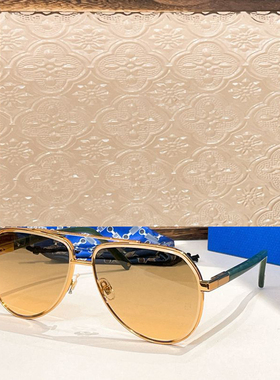 椭圆框飞行员风遮阳墨镜男女时尚