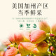 Yao Shengji 458g canned pistachio nuts roasted seeds and nuts imported dried fruits original color non-bleaching healthy snacks for pregnant women
