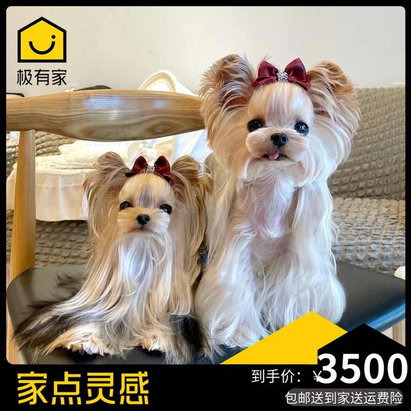 100円 Off 犬 サイズ交換可 夏服 22ss シースルー 超小型犬 中型犬 女の子 クーポン キャミソール 小型犬 ドッグウェア 可愛い あり