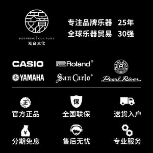 珠江提琴PR-V02考级手工小提琴儿童入门考级专业演奏级