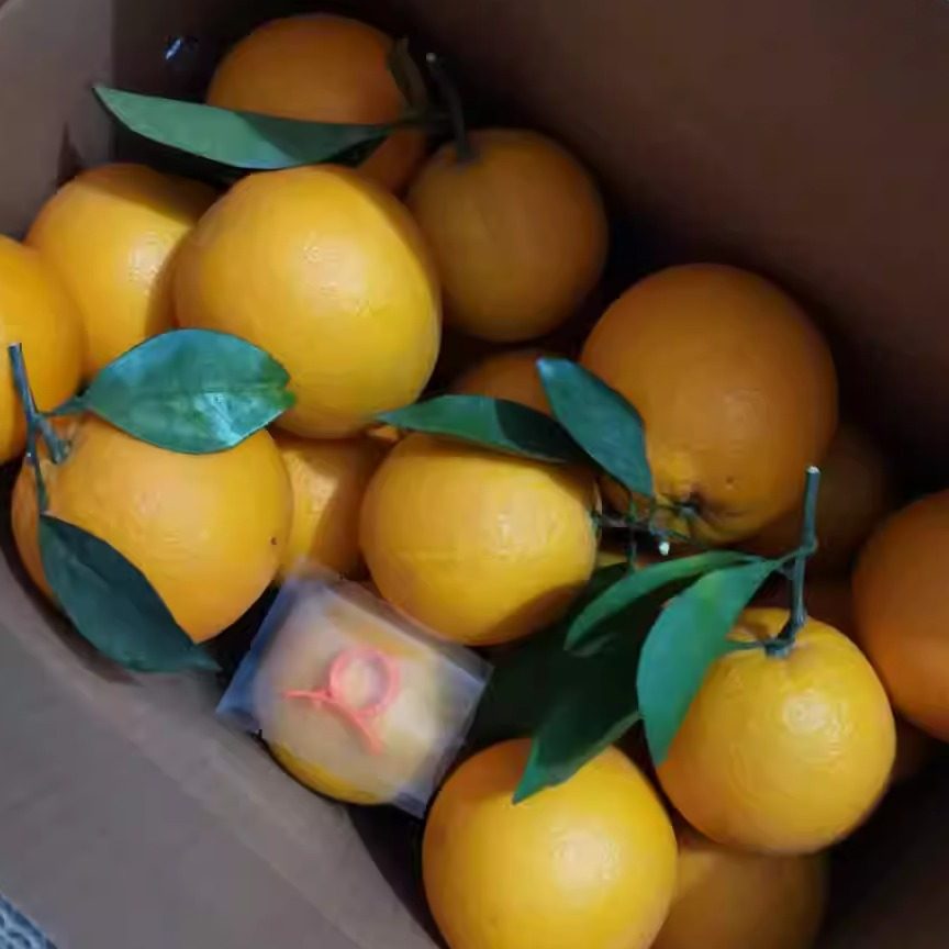 赣南脐橙装信丰脐橙果园直发新鲜水果橙子现采现发榨汁橙子,淘宝优惠券,粉丝福利购,淘宝优惠卷