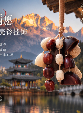 云南果壳手摇铃疗愈文创挂件礼物