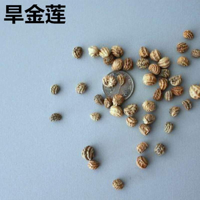 旱金莲种子花卉植物旱荷花庭院盆栽花草种籽子夏秋开花多年生花籽