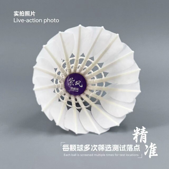 Antarctic wind series purple wind badminton
