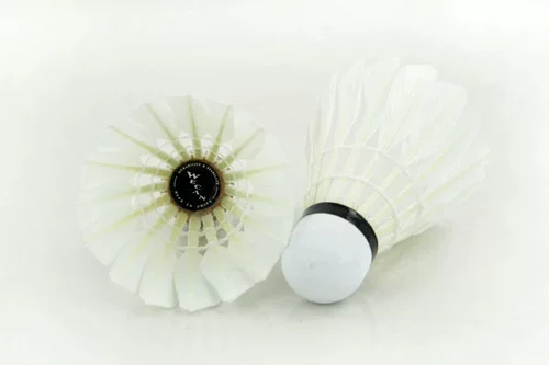 Heiwekan Wecan Badminton Badminton Blogen Goose Mascal Demon Green Vagearitian Ka ka ka kaita club