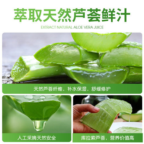 Hydrating Aloe Vera Gel Repair Refreshing Official 2023 Moisturizing Zhuo Chen Genuine Gel for Men and Women