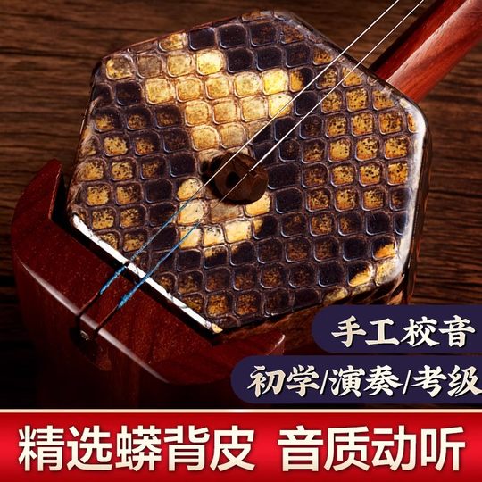 高档黑檀木紫檀木二胡乐器初学者入门儿童成人考级胡琴厂家直苏州