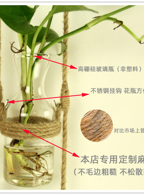 幼儿园客厅水培绿植花瓶玻璃田园