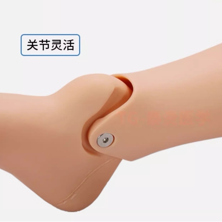 CK821成人胫骨穿刺训练模型下肢骨髓穿刺医学用腿部教学训练模块 - 图0
