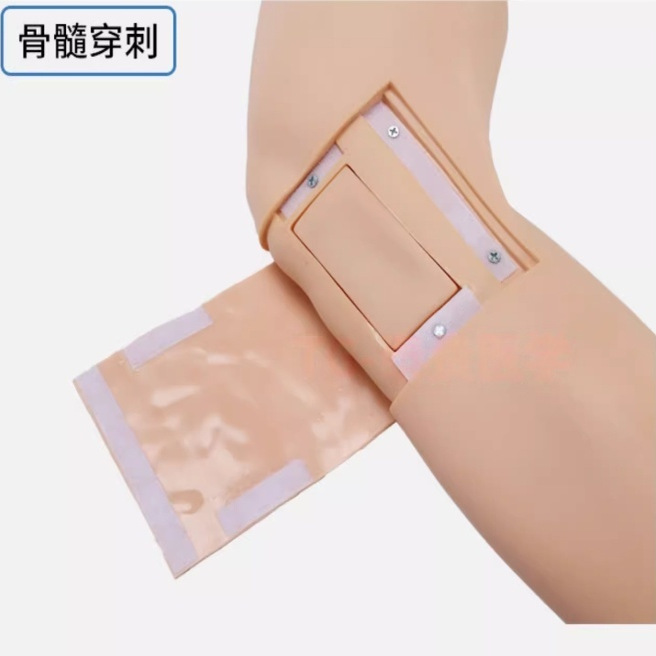 CK821成人胫骨穿刺训练模型下肢骨髓穿刺医学用腿部教学训练模块 - 图1