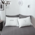 Violet bông rửa bông thêu bốn mảnh cotton đồng bằng chăn chăn bộ đồ giường có thể ngủ khỏa thân - Bộ đồ giường bốn mảnh