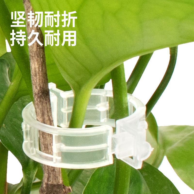 新款瓜果植物夹塑料绑蔓夹绑枝夹吊蔓夹扶蔓夹西红柿夹藤蔓固定夹 - 图2