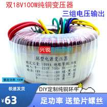 Pure copper ring transformer 100W200W dual group AC AC24V18V12V multi-group output 220 power amplifier power